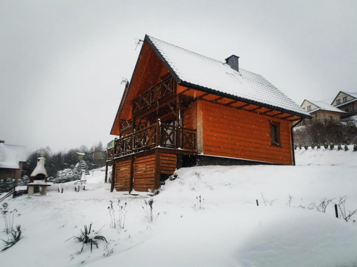 Stare Zabrodzie Villa Solina  Exteriör bild